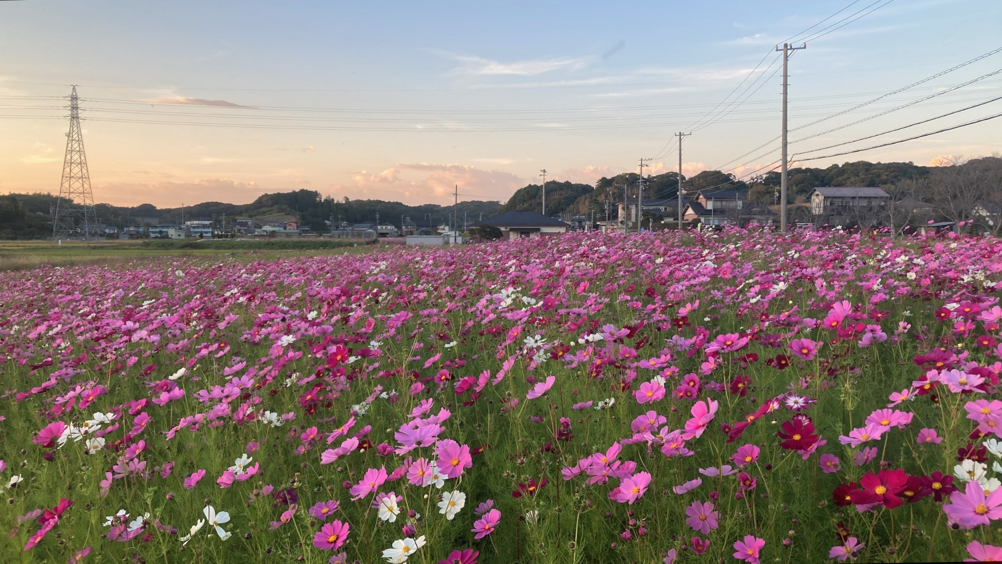 袋井東二地区_村松西