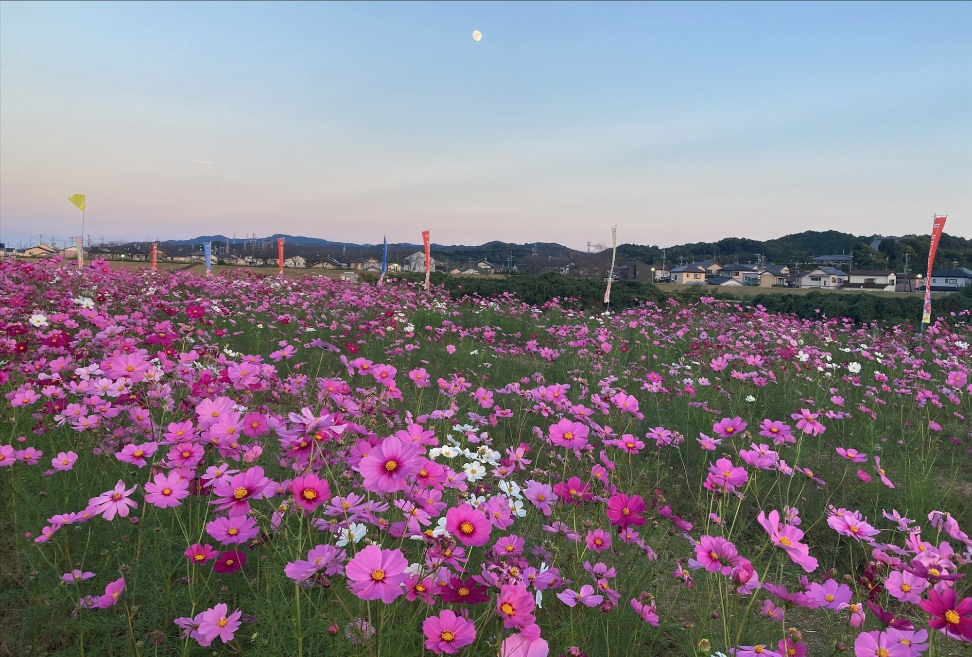 方丈地区_メロン公園