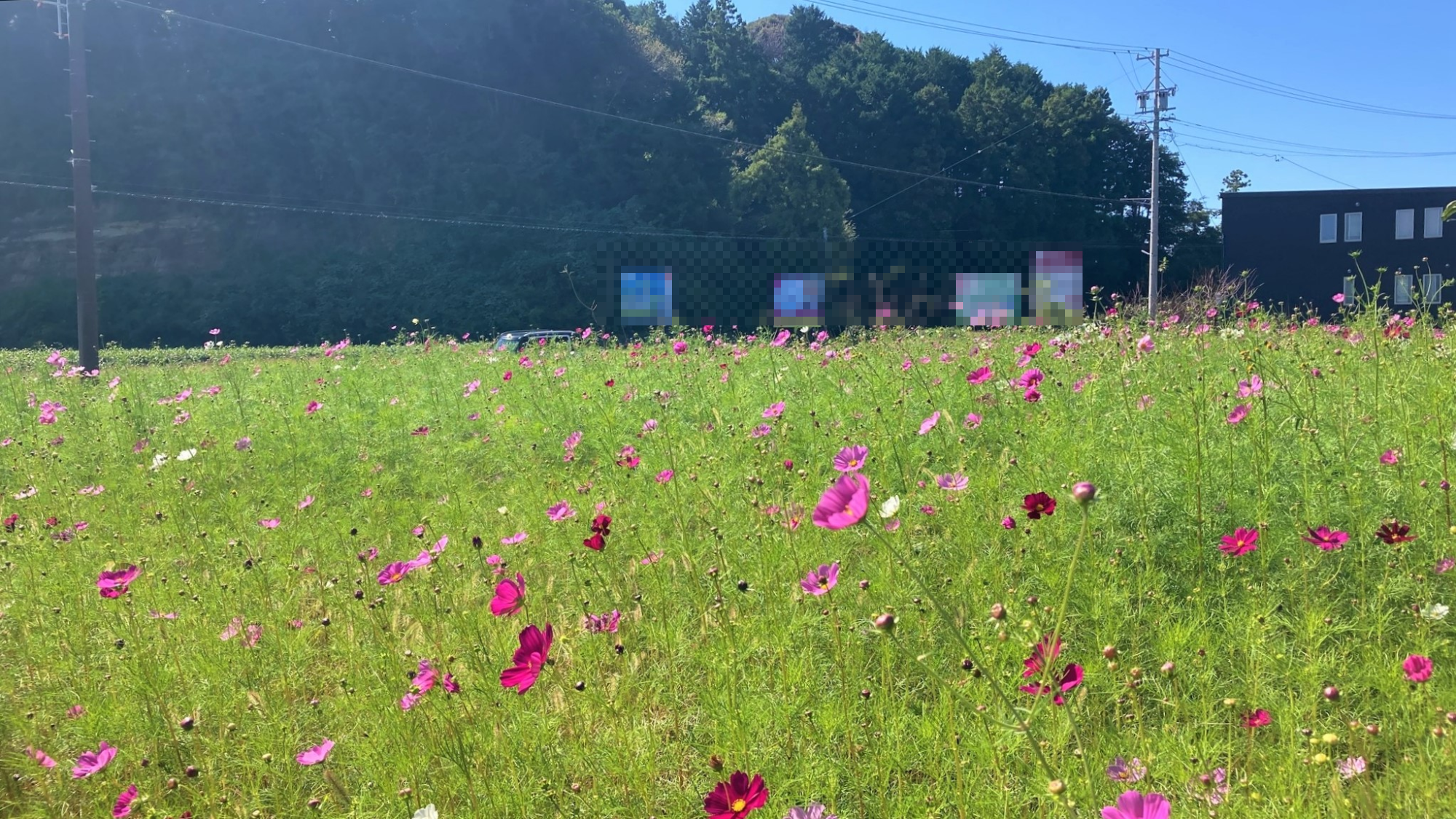 宇刈_宇刈三沢