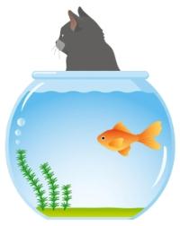 良い状態