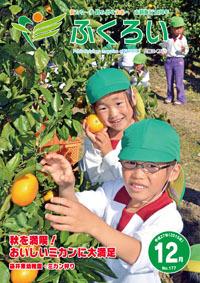 (画像)広報ふくろい平成27年12月号・表紙