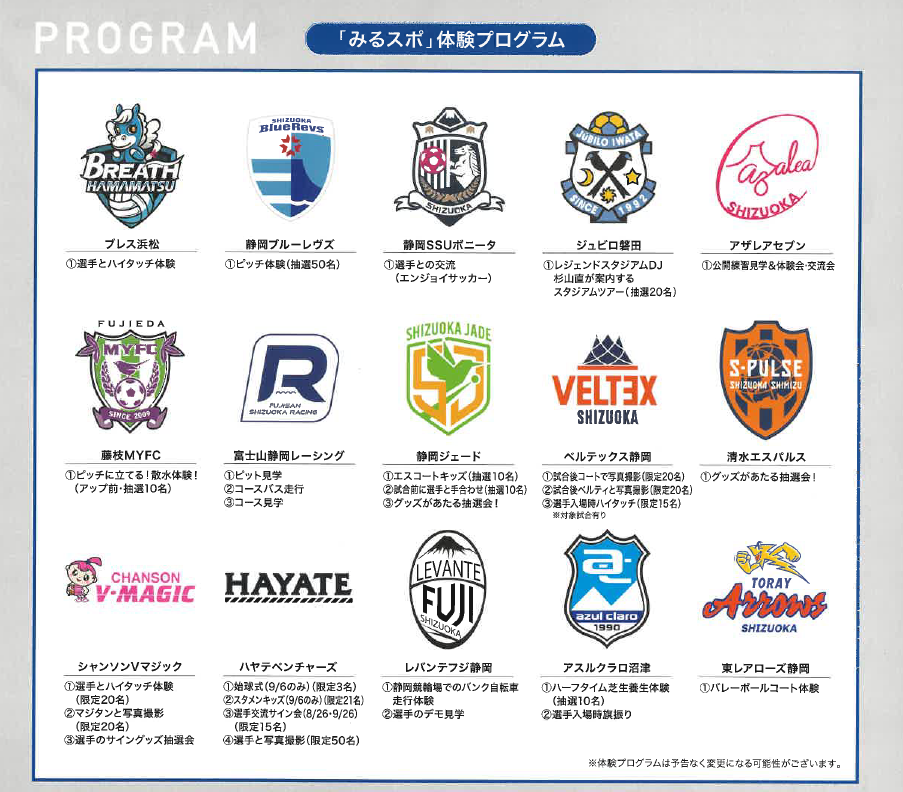 観戦可能なプロスポーツチームと体験プログラム一覧