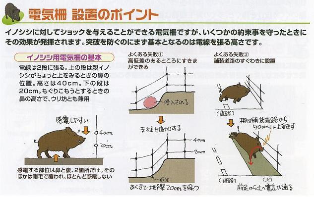 電気柵設置のポイント