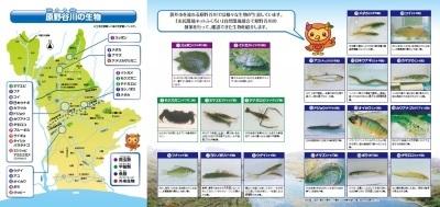 原野谷川生物マップ 裏