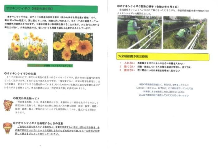 環境通信13号