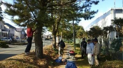 近隣住民の要望をもとに伐採