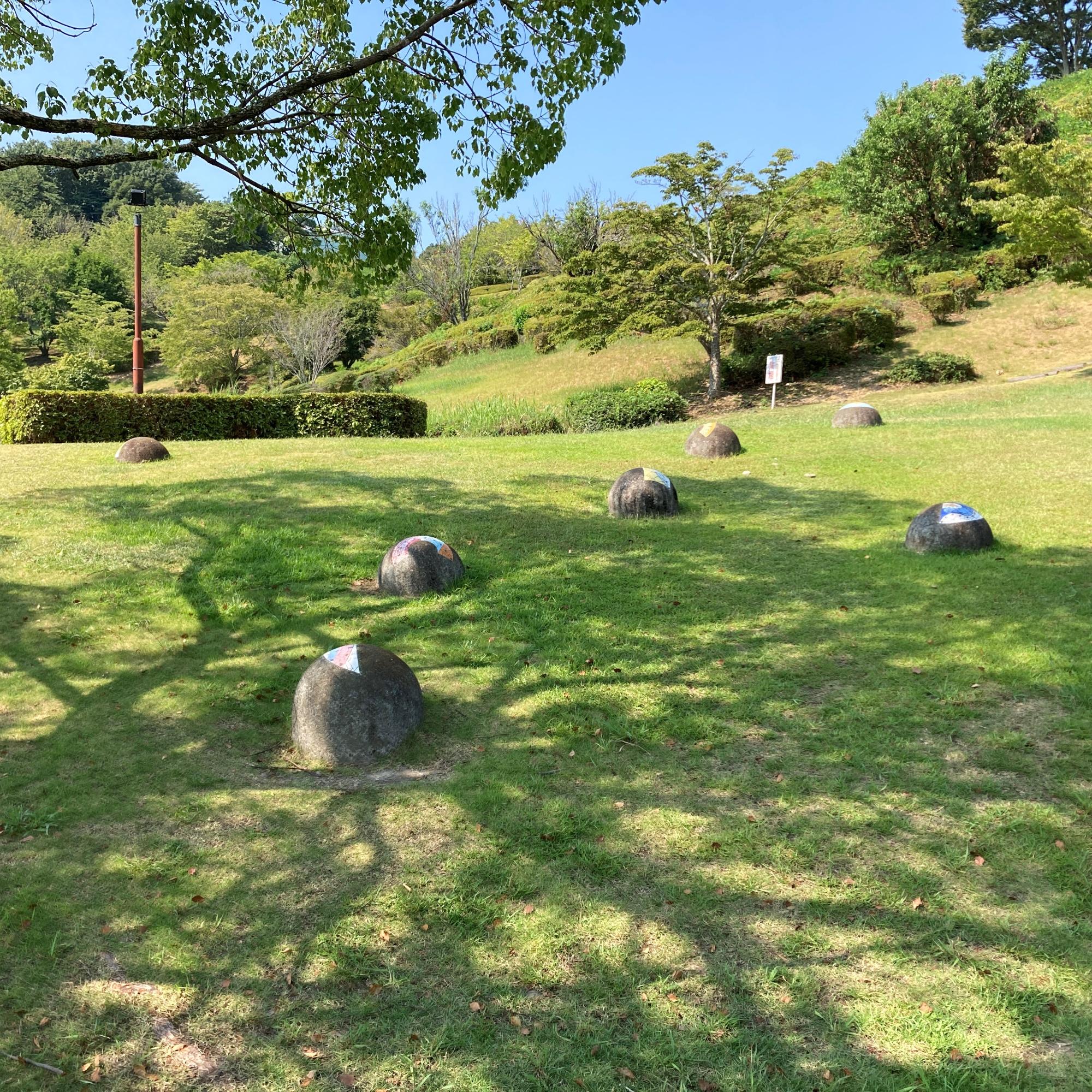 夏の星座 ハクチョウ座