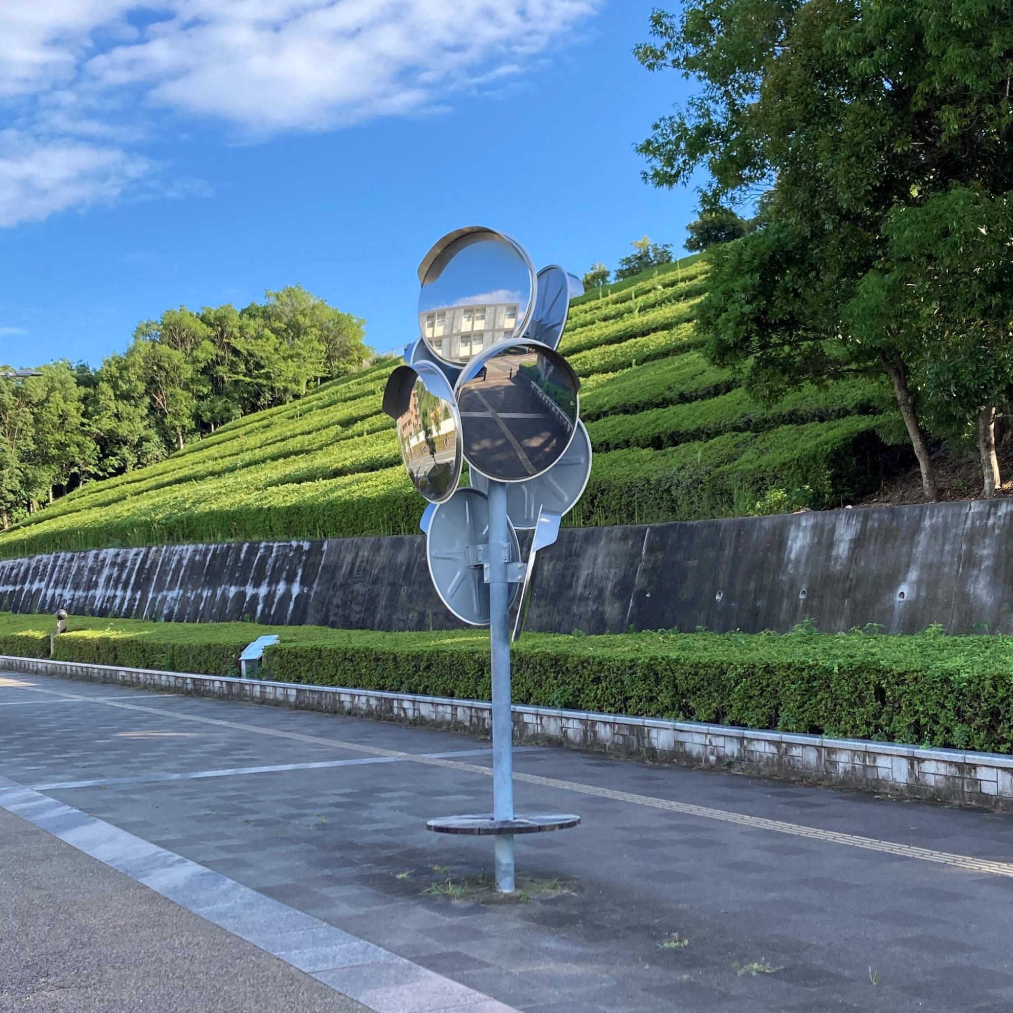鏡の木