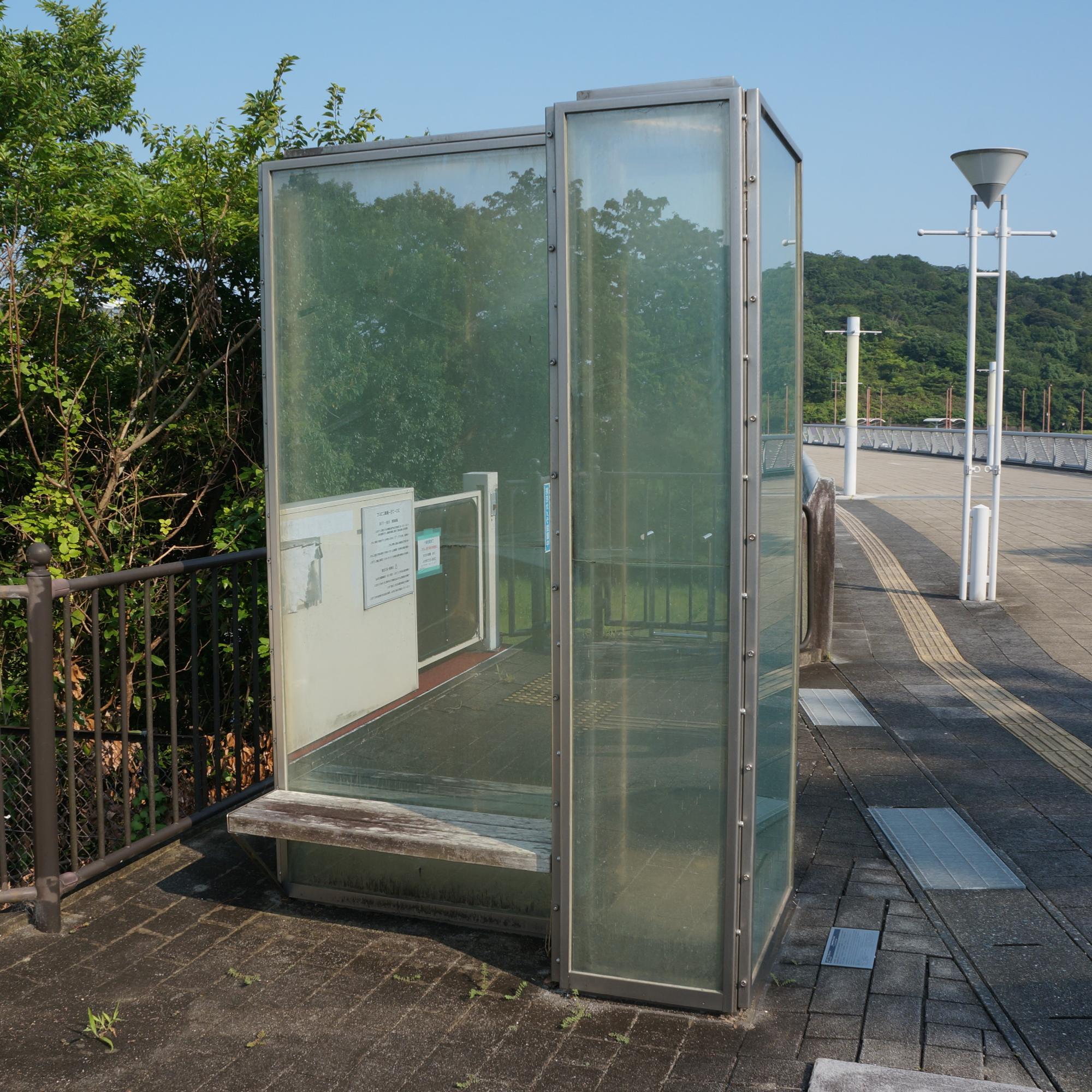 マグリットの夢