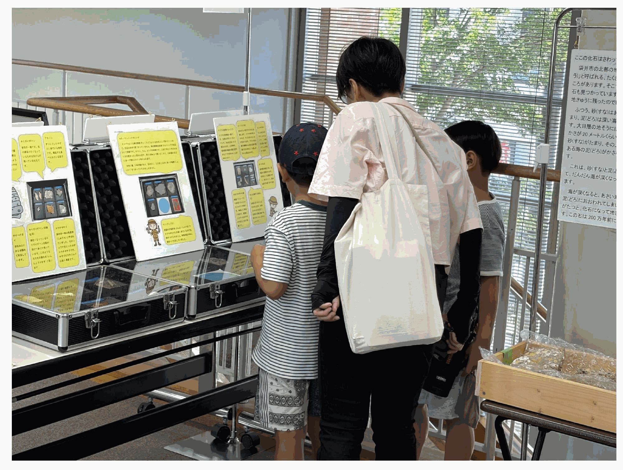 展示された化石をみる親子