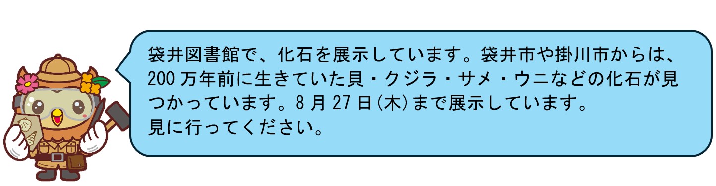 図書館での展示は8月27日まで