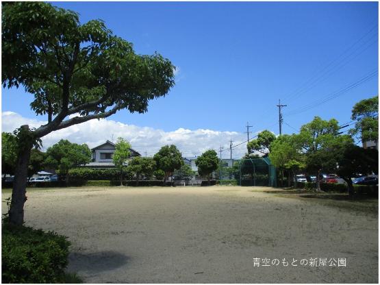 青空のもとの新屋公園