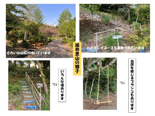 諸井里山の様子