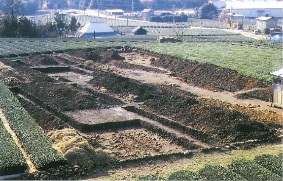 長者平遺跡 昭和53年度 東発掘調査のようす
