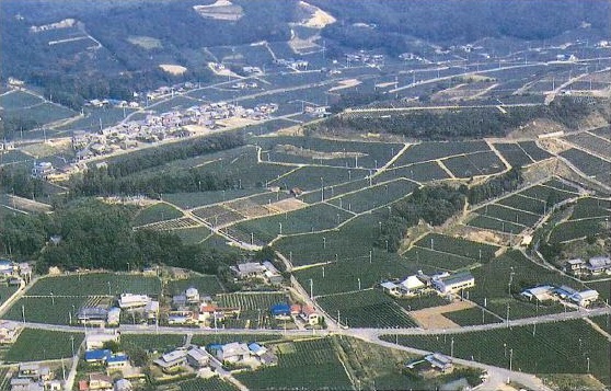 長者平遺跡 全景(南から)