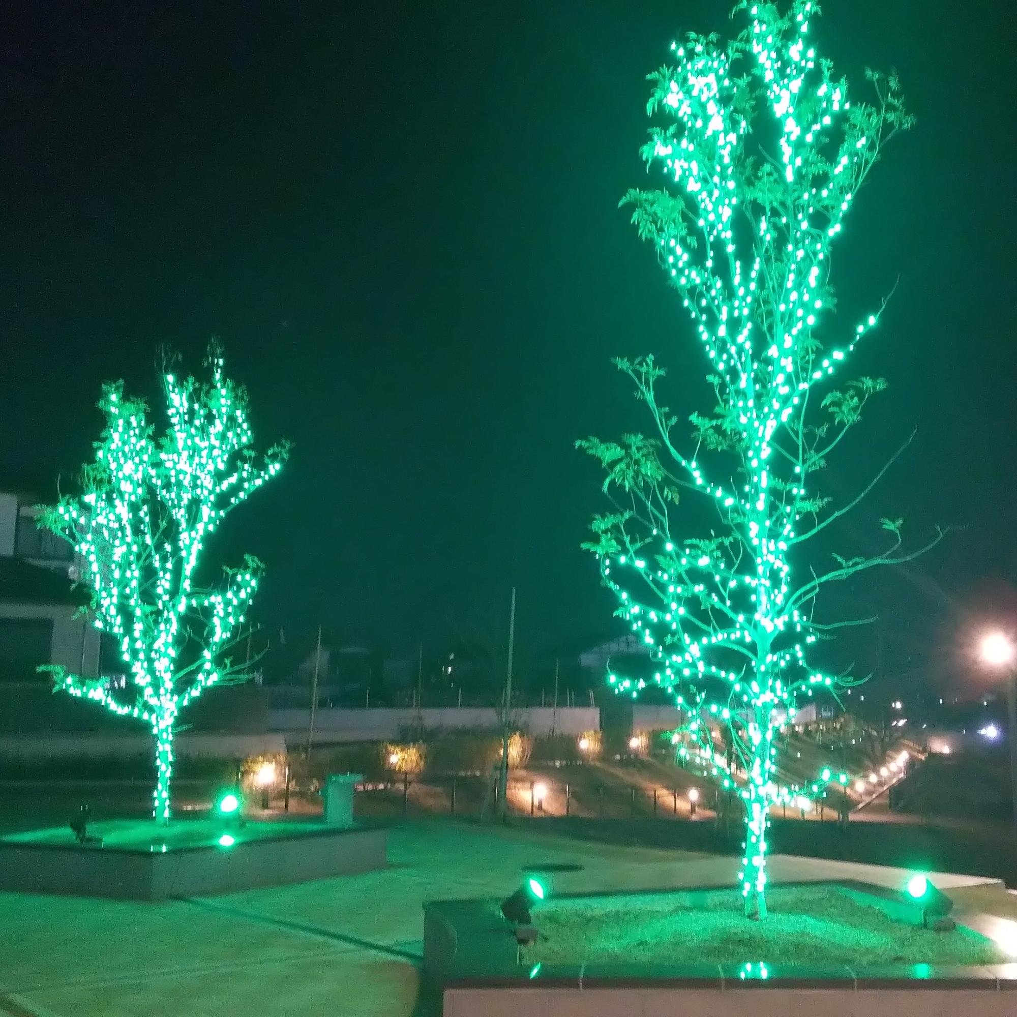 グリーンライトアップ2022田端東遊水池公園シンボルツリー