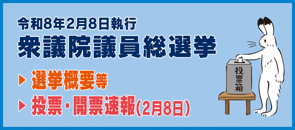 衆議院議員選挙バナー