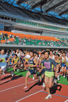 Fukuroi Crown Melon Marathon