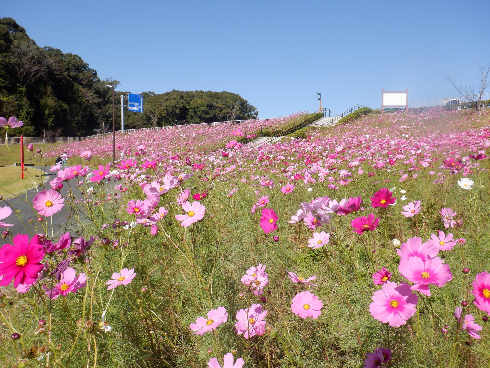 三川地区_みつかわ夢の丘公園