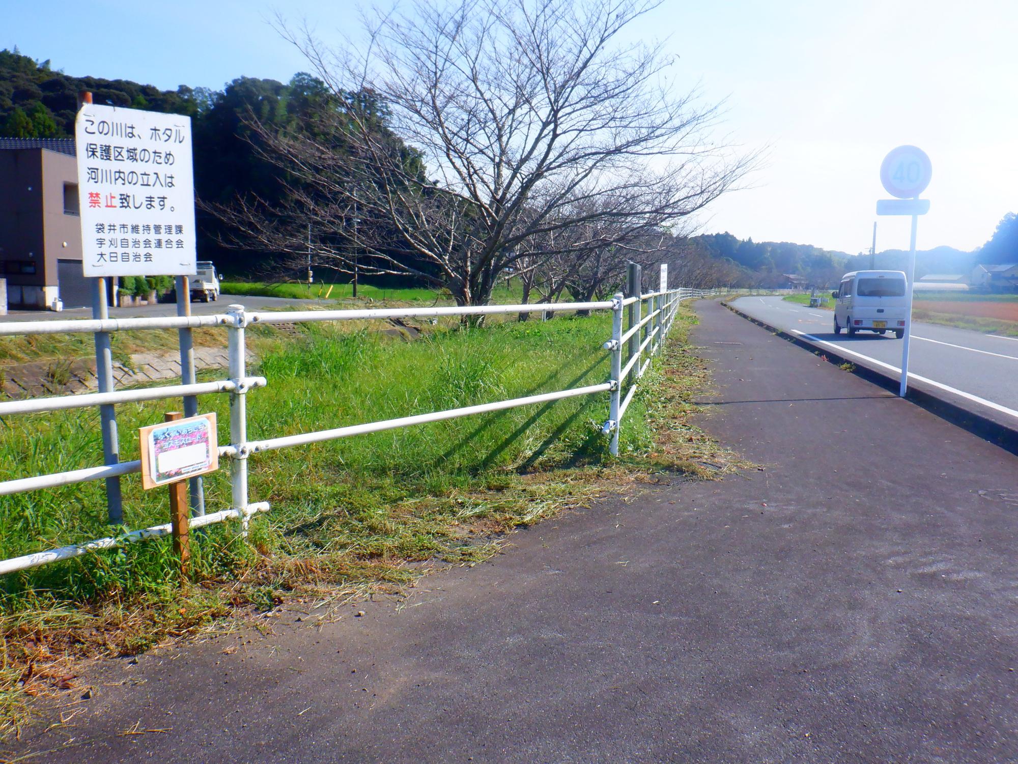 大日橋