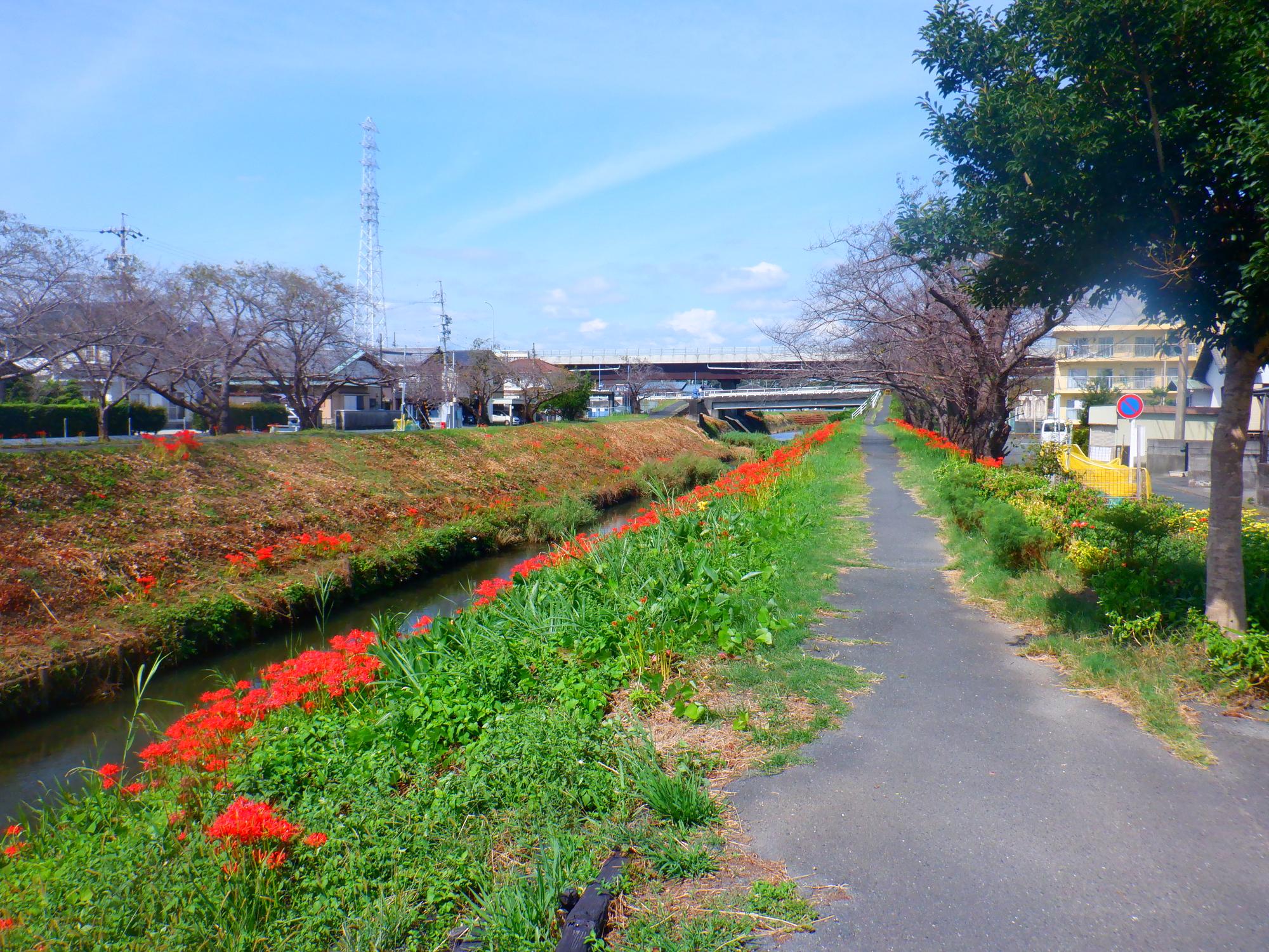袋井北四町