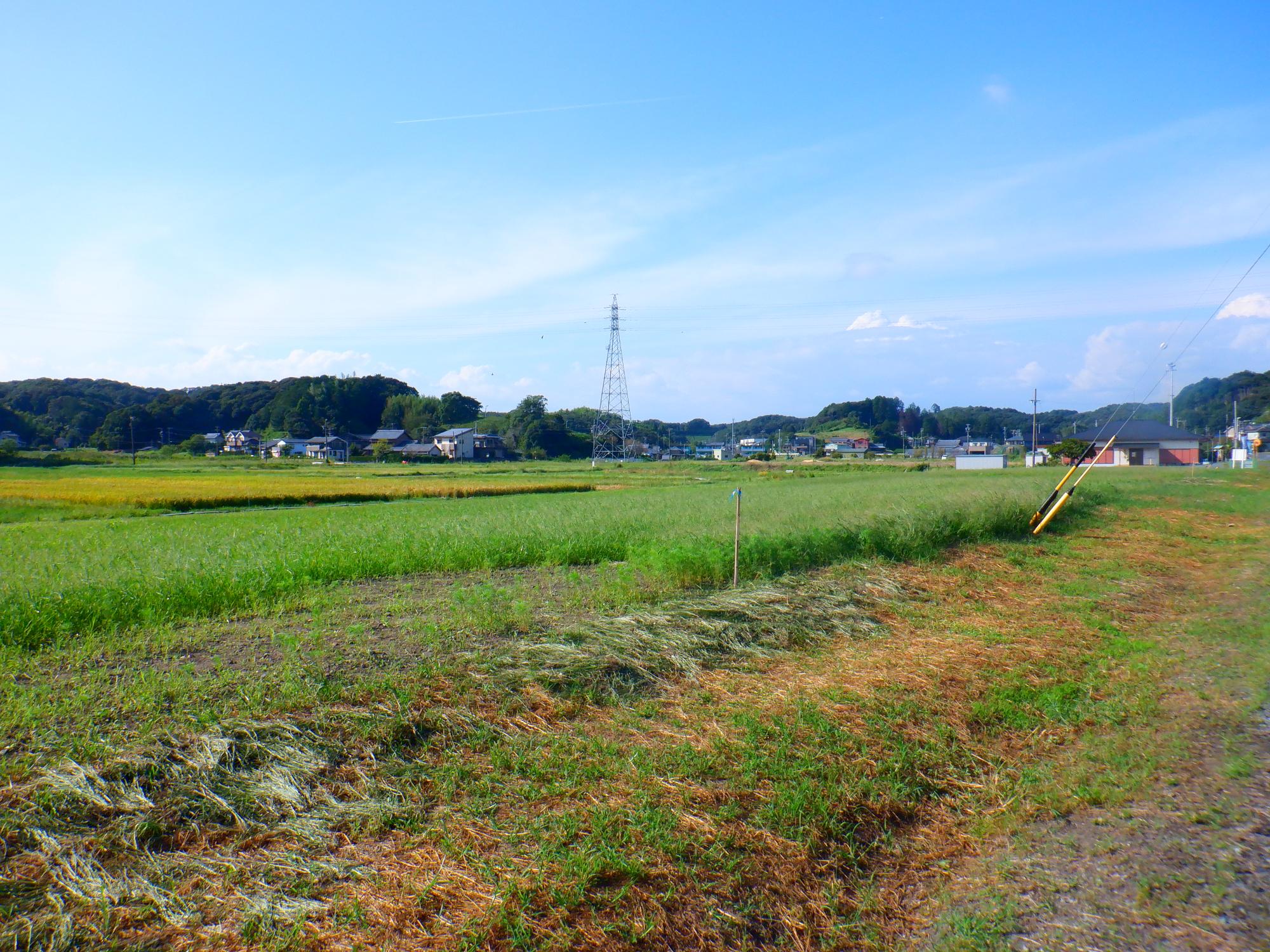 村松西公会堂