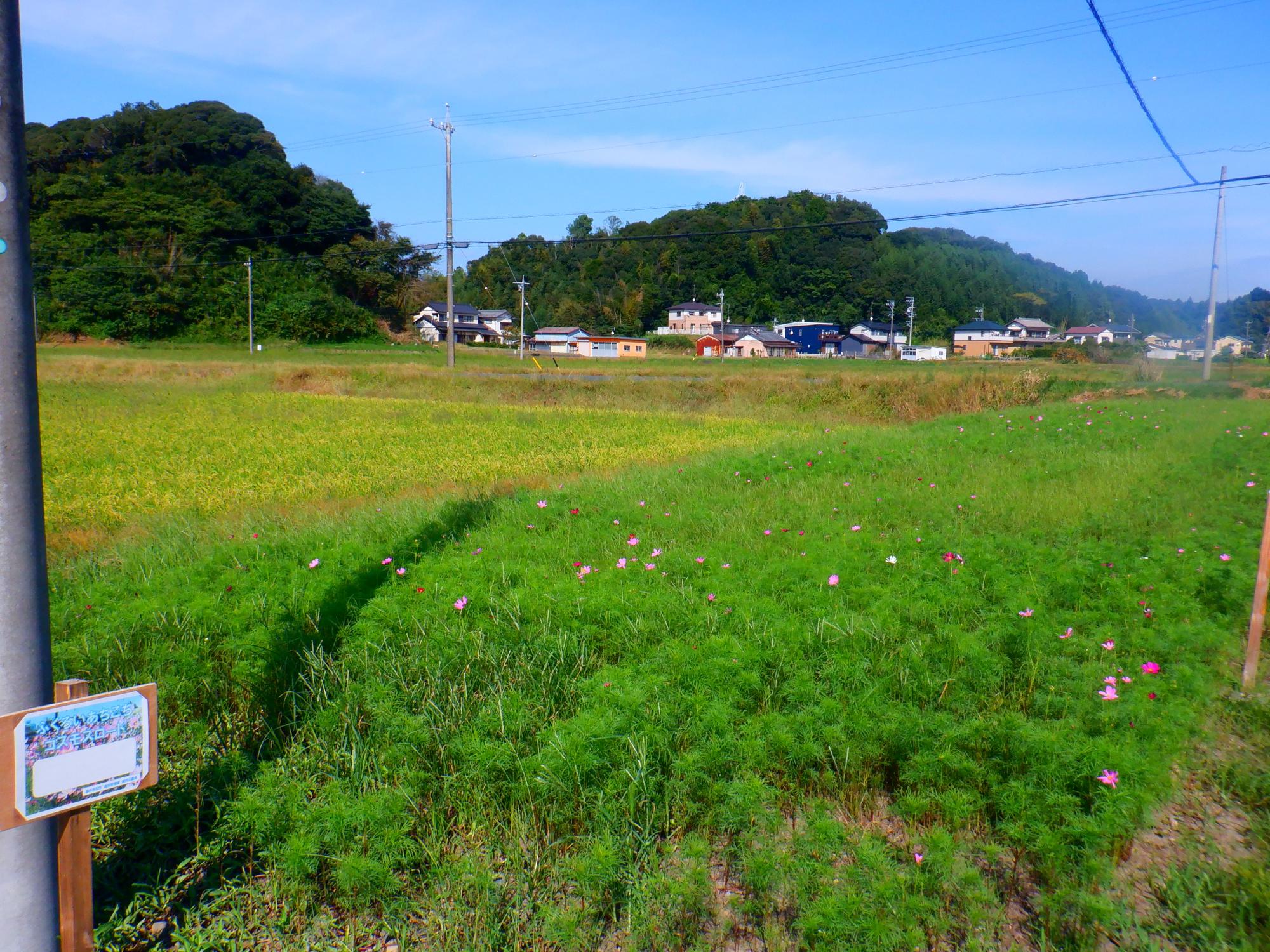 馬ヶ谷
