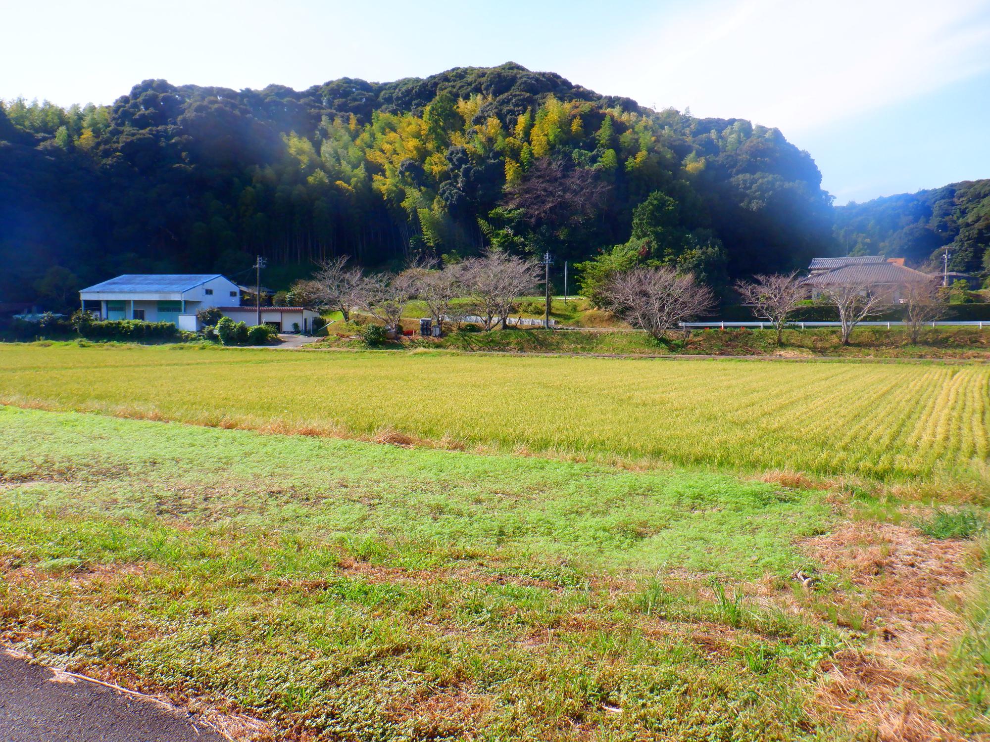 宇刈中村