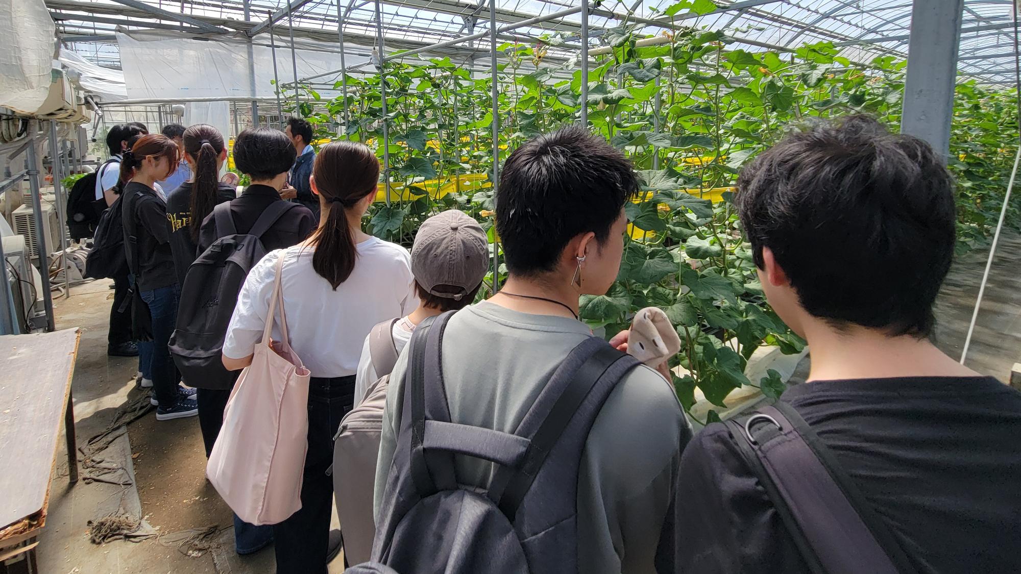 株式会社大和コンピューターのフィールドワークの様子