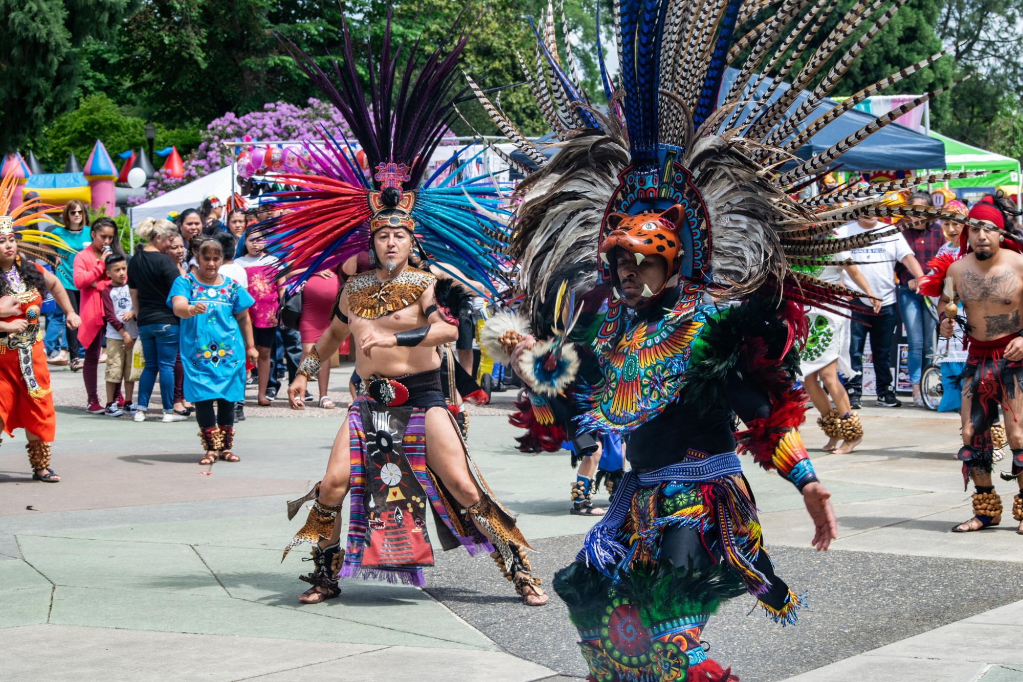 ラテンアメリカ文化フェスティバル
