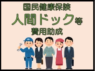 国保人間ドック等費用助成アイコン