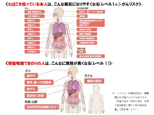 たばこの健康被害