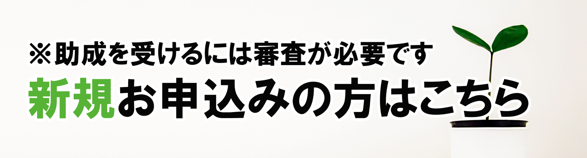 新規