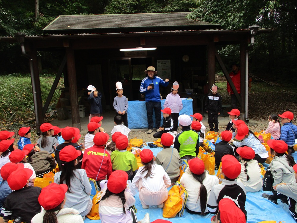 どんぐりの学習