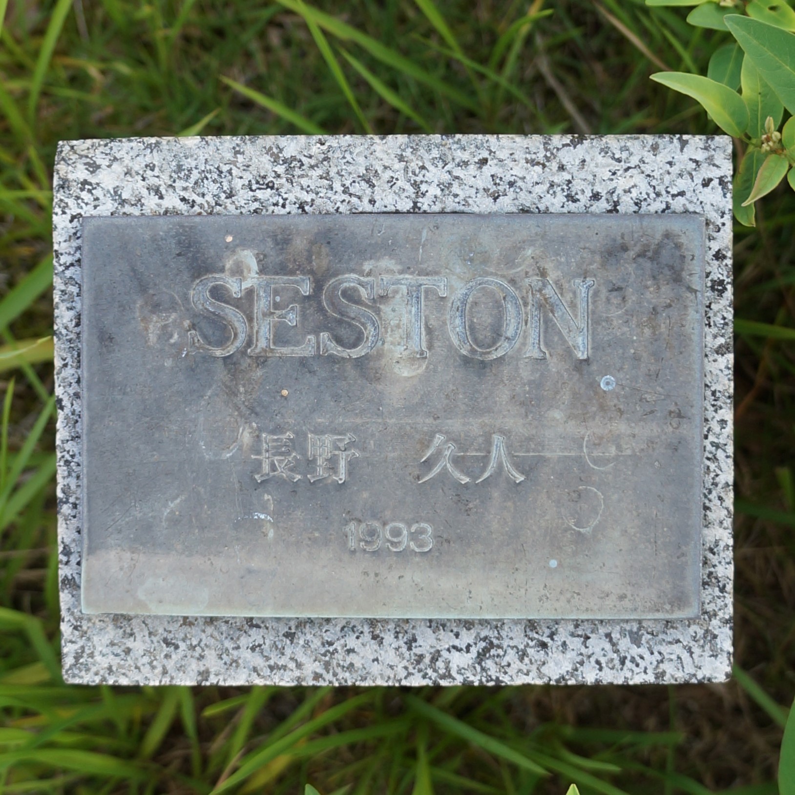 SESTON