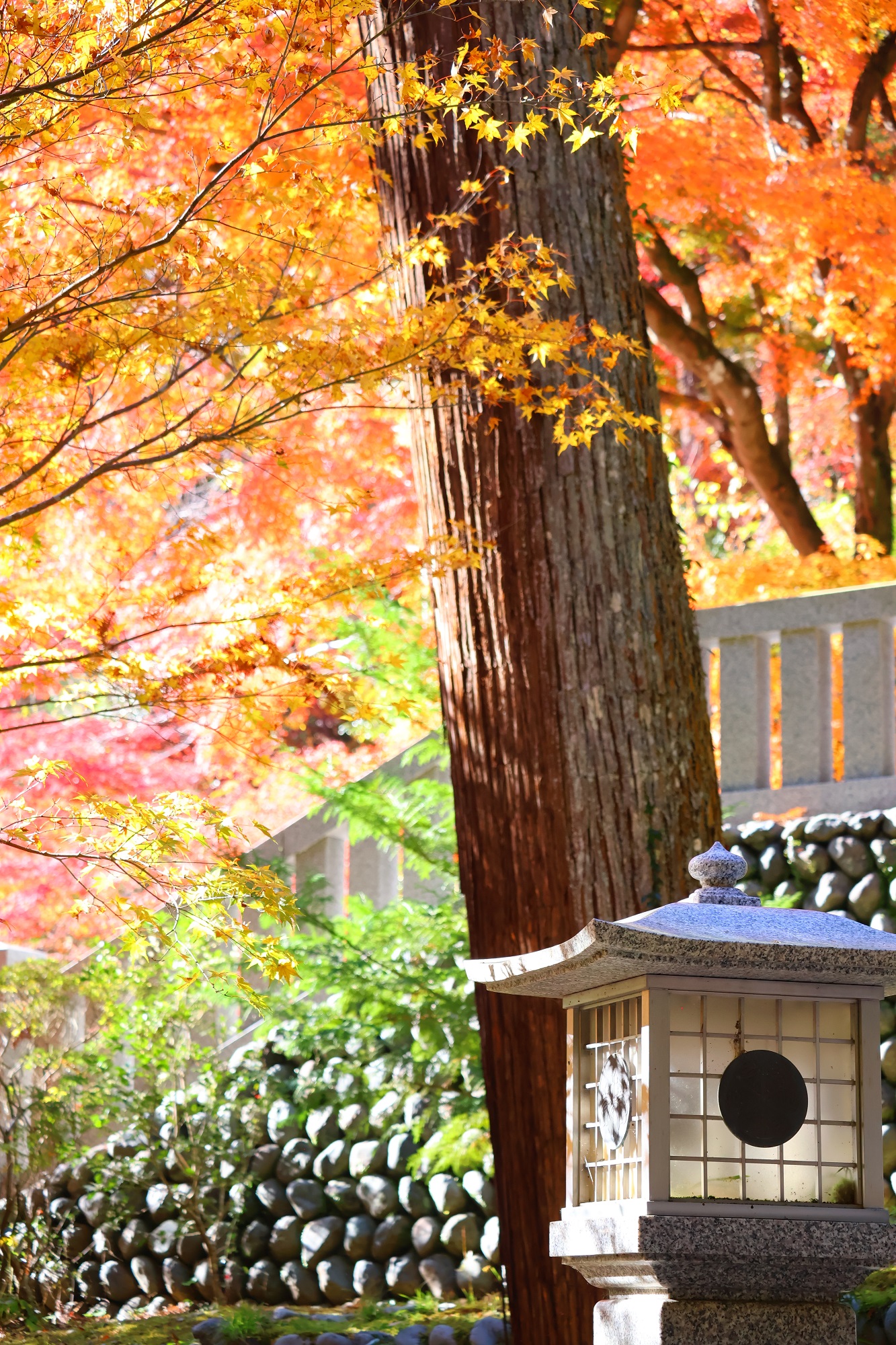 色めく秋_法多山