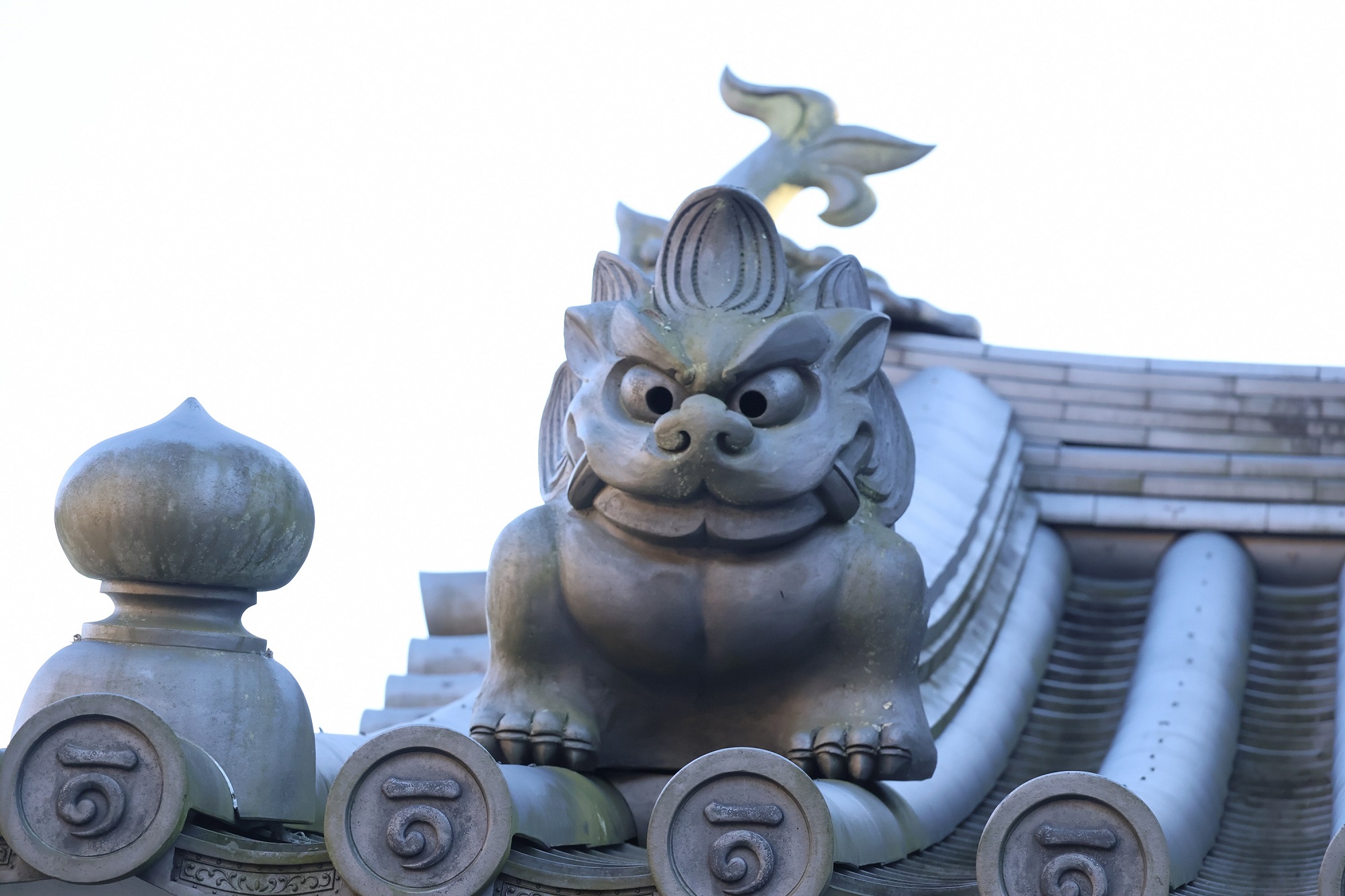 にらめっこ_可睡斎