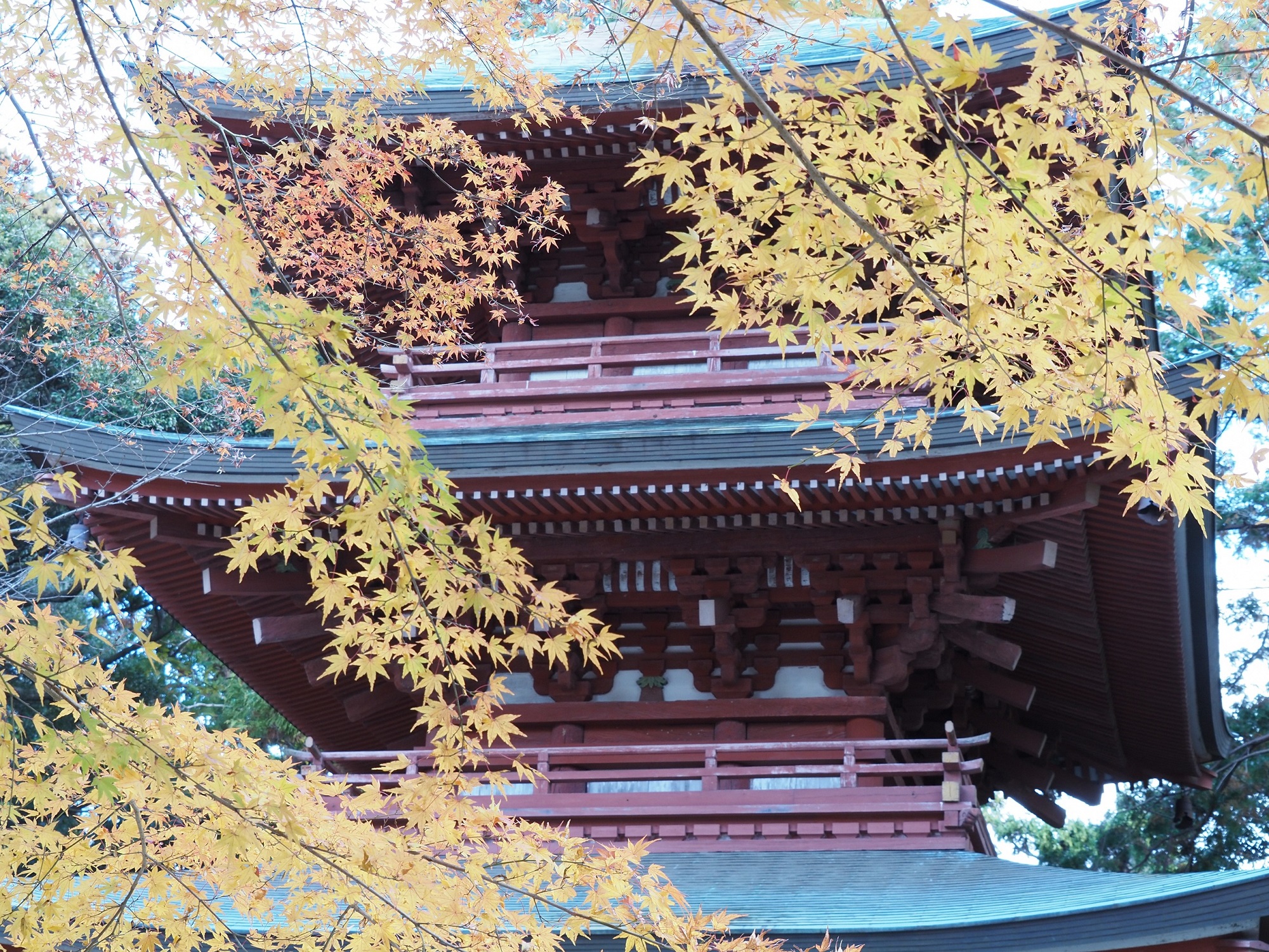 歴史の重なり_油山寺