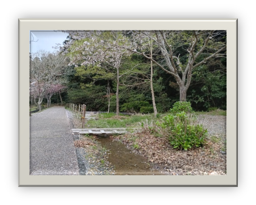 里山の風景（せせらぎ）