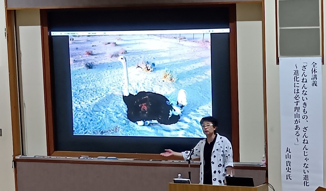 講師：丸山貴史氏
