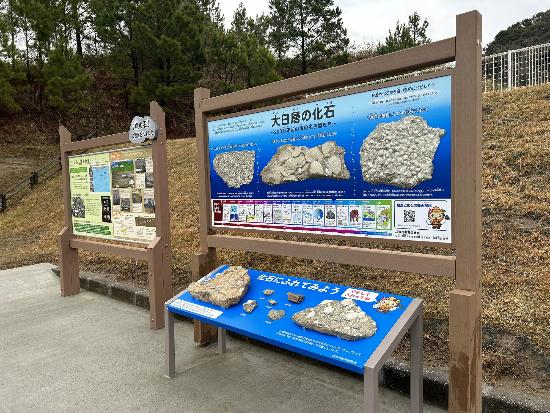 地層・化石紹介看板と化石レプリカ