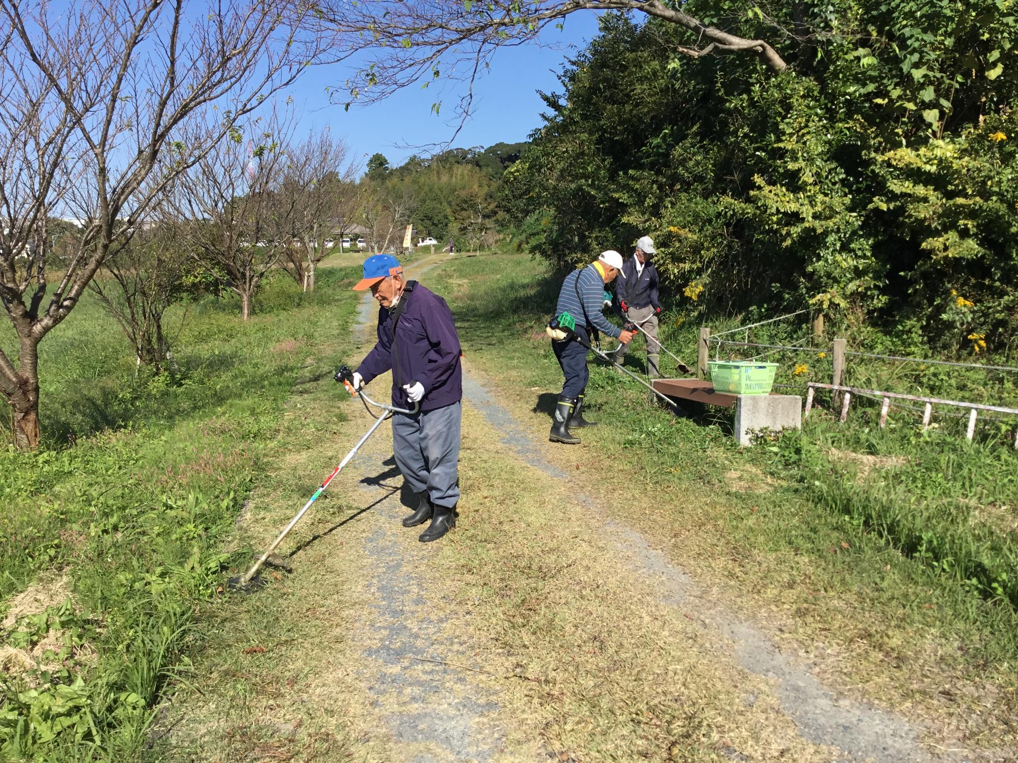 久野城址保存会の活動、草刈り