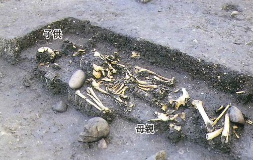 大畑遺跡 母子の人骨（昭和55年度調査）
