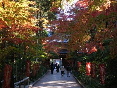 油山寺紅葉